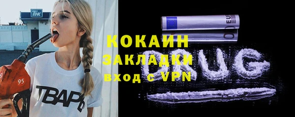 гидра Алексин