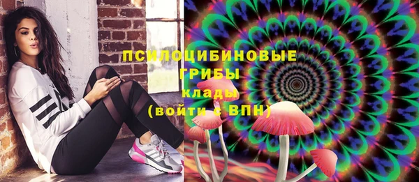 гидра Алексин